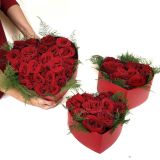 Picsart_23-01-30_17-11-32-455