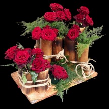 Bamboo lovers