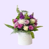 MZP_4579 copy 2