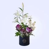 MZP_4622 copy 2