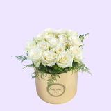 MZP_4740 copy 2